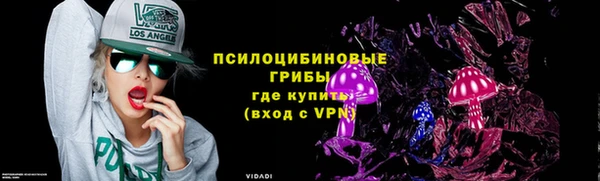 эйфоретик Няндома
