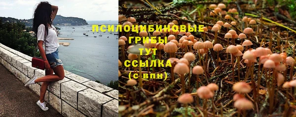 мяу мяу кристалл Новозыбков