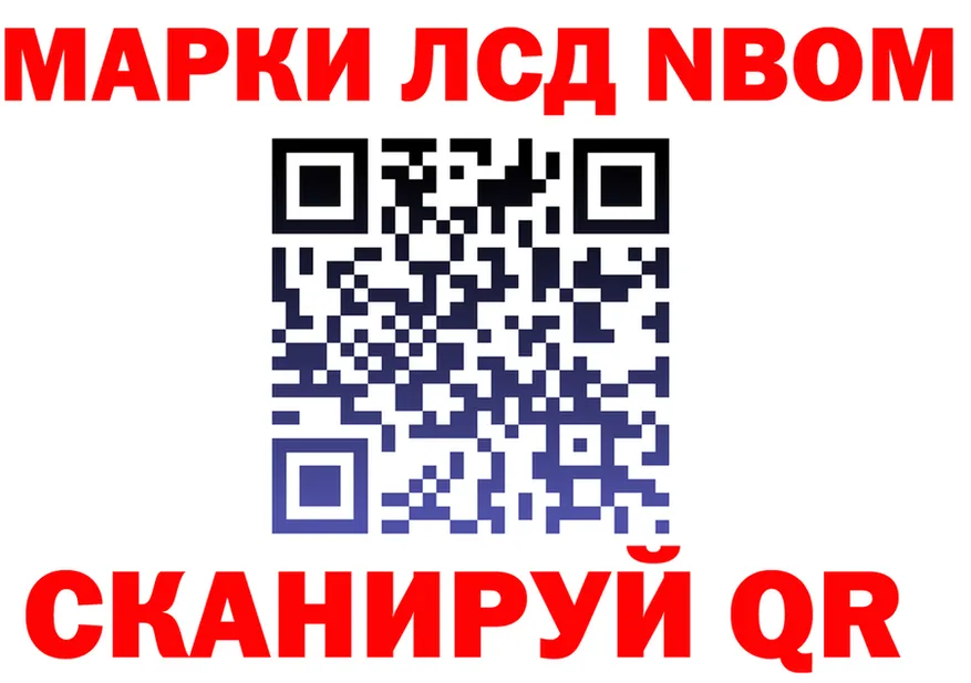 Alfa_PVP СК КРИС вход площадка гидра Советский