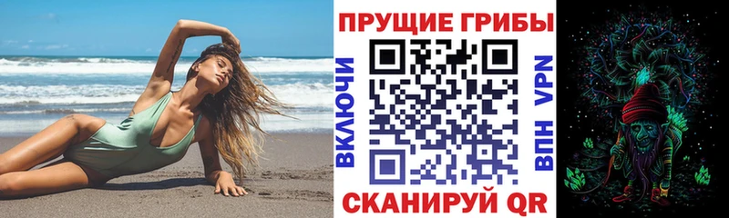 где купить наркоту  Советский  Псилоцибиновые грибы Magic Shrooms 