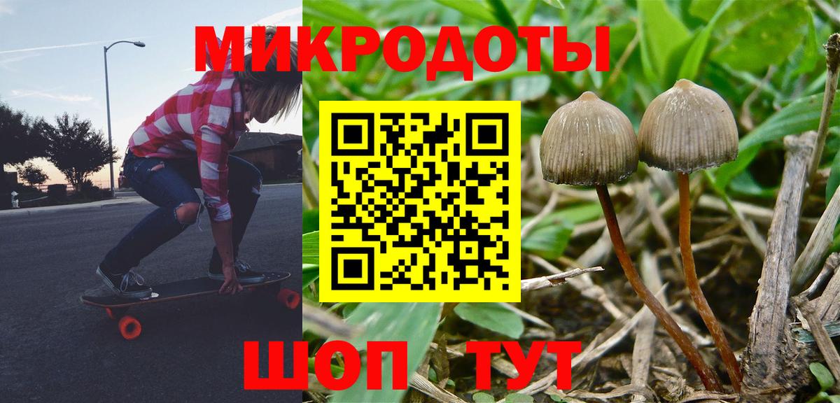 как найти наркотики  Псилоцибиновые грибы Psilocybe  Вход с VPN  Советский 