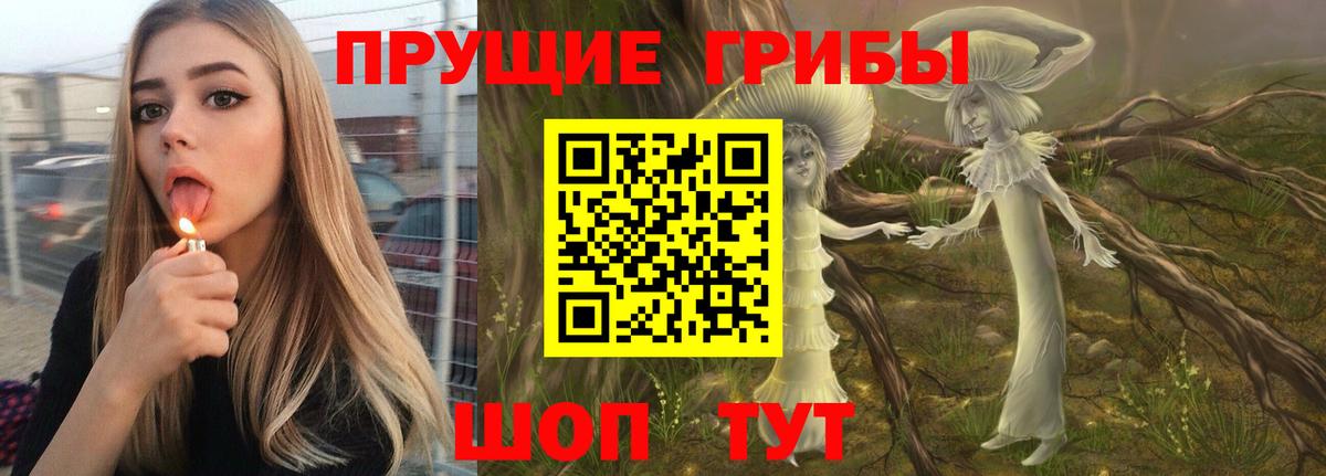 Псилоцибиновые грибы Советский